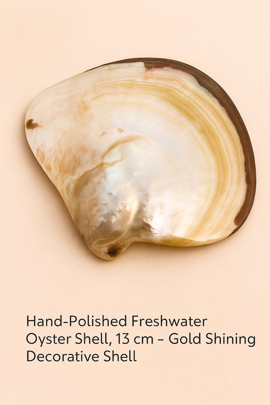 Hand-Polished Freshwater Oyster Shell, 13 cm – Gold Shining Decorative Shell