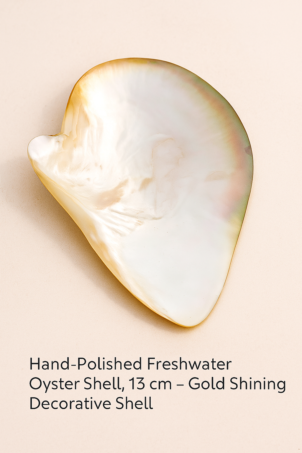 Hand-Polished Freshwater Oyster Shell, 13 cm – Gold Shining Decorative Shell