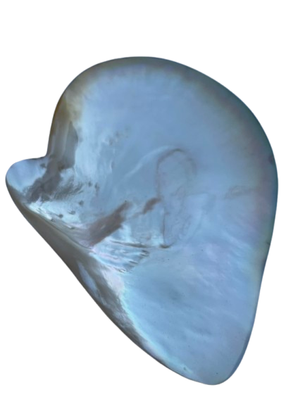 Gold Oyster Shell Trinket Dish Hand Polished 13cm Jewellery Ring Holder Decor