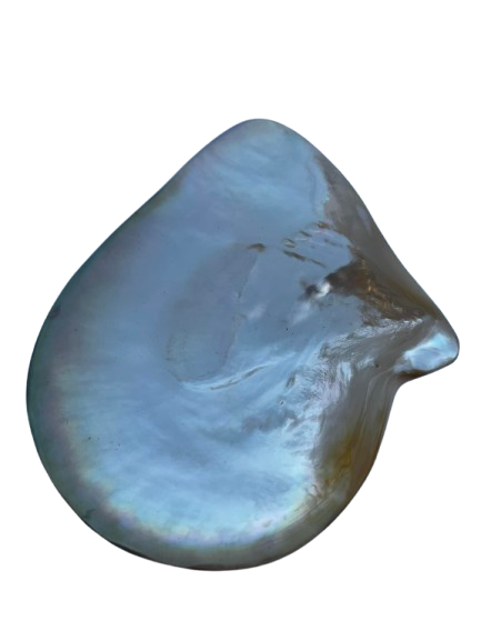 Gold Oyster Shell Trinket Dish Hand Polished 13cm Jewellery Ring Holder Decor