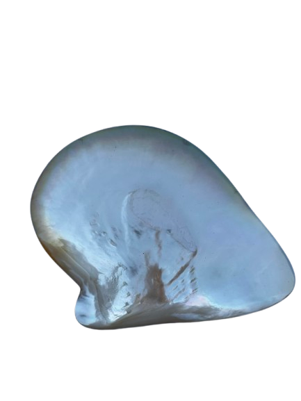 Gold Oyster Shell Trinket Dish Hand Polished 13cm Jewellery Ring Holder Decor